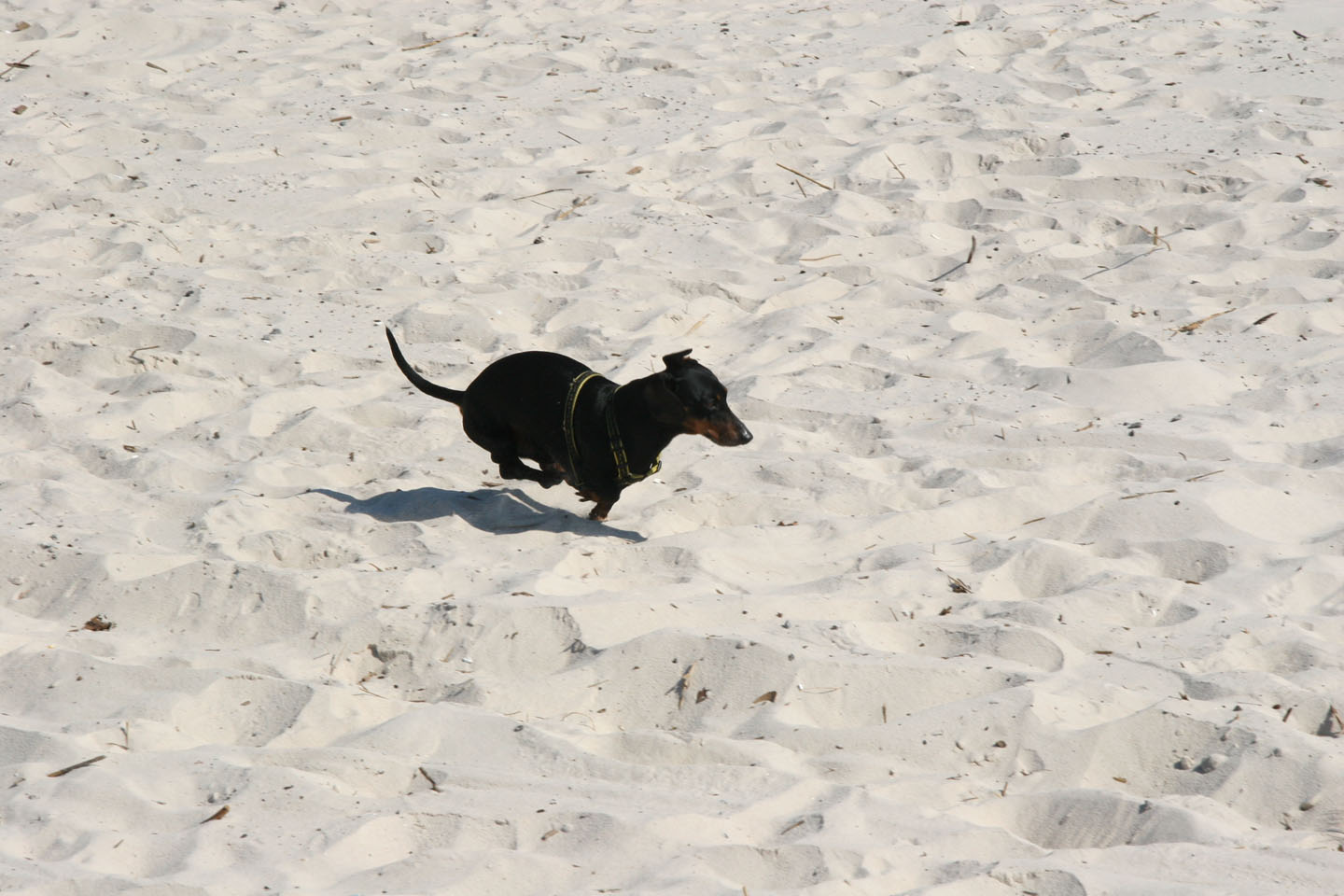 IMG_5670