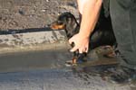 IMG_2821
